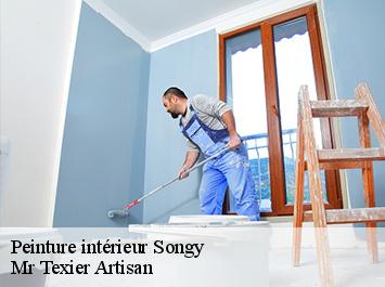 Peinture intérieur songy-51240 Mr Texier Artisan