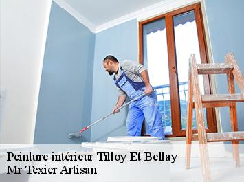 Peinture intérieur tilloy-et-bellay-51460 Mr Texier Artisan