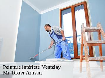 Peinture intérieur ventelay-51140 Mr Texier Artisan