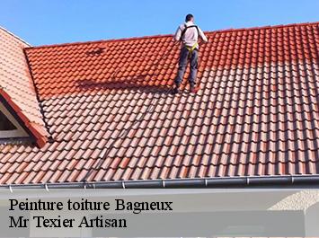 Peinture toiture bagneux-51260 Mr Texier Artisan