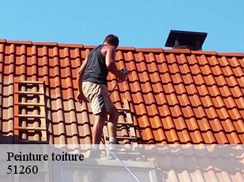 Peinture toiture 51260