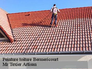 Peinture toiture bermericourt-51220 Mr Texier Artisan