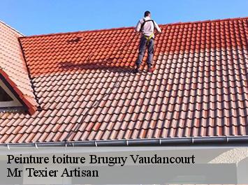 Peinture toiture brugny-vaudancourt-51200 Mr Texier Artisan