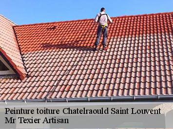 Peinture toiture chatelraould-saint-louvent-51300 Mr Texier Artisan