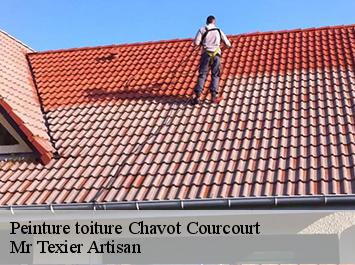 Peinture toiture chavot-courcourt-51200 Mr Texier Artisan