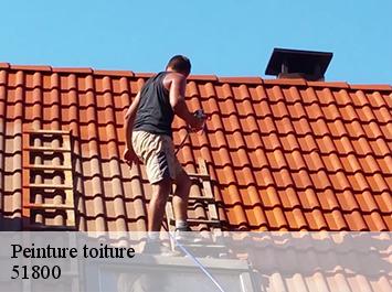 Peinture toiture 51800