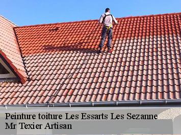 Peinture toiture les-essarts-les-sezanne-51120 Mr Texier Artisan