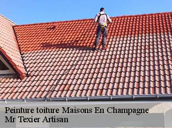 Peinture toiture maisons-en-champagne-51300 Mr Texier Artisan
