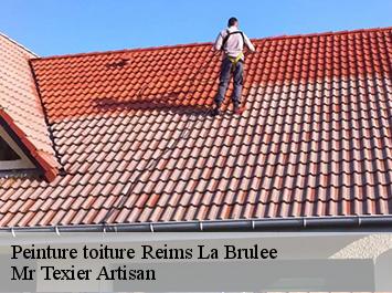 Peinture toiture reims-la-brulee-51300 Mr Texier Artisan