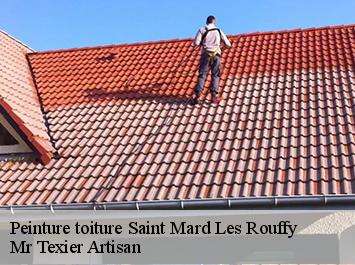 Peinture toiture saint-mard-les-rouffy-51130 Mr Texier Artisan