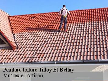 Peinture toiture tilloy-et-bellay-51460 Mr Texier Artisan