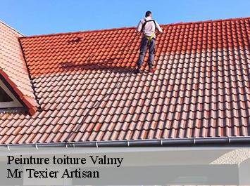 Peinture toiture valmy-51800 Mr Texier Artisan
