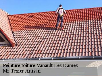 Peinture toiture vanault-les-dames-51340 Mr Texier Artisan
