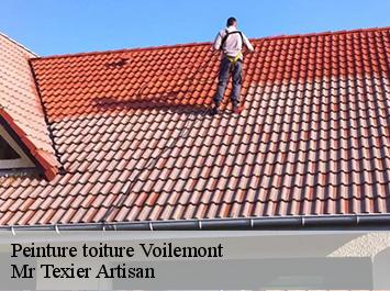 Peinture toiture voilemont-51800 Mr Texier Artisan