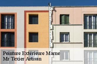Peinture Extérieure 51 Marne Dufresne David Peinture