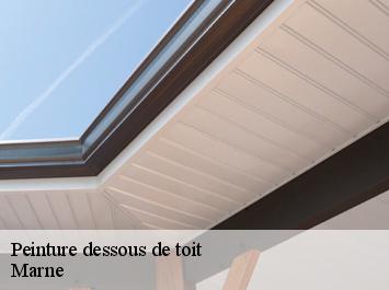 Peinture dessous de toit Marne 