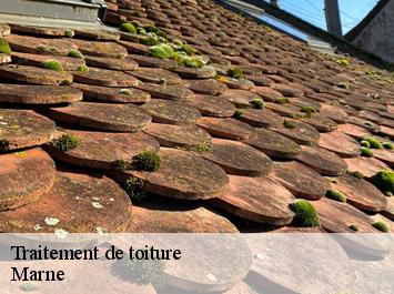 Traitement de toiture Marne