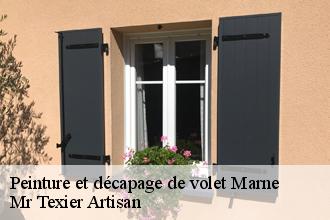 Peinture et décapage de volet 51 Marne Dufresne David Peinture