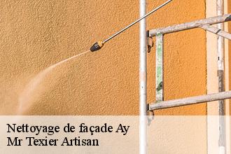 Nettoyage de façade ay-51160 Dufresne David Peinture