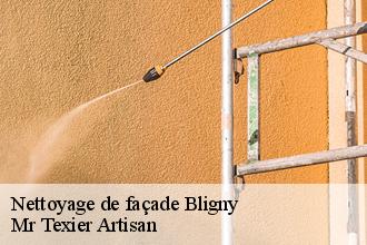 Nettoyage de façade  bligny-51170 Dufresne David Peinture