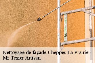 Nettoyage de façade cheppes-la-prairie-51240 Dufresne David Peinture