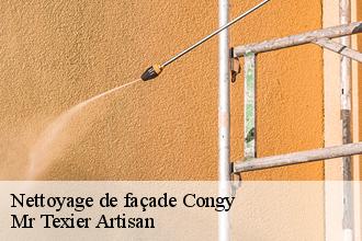 Nettoyage de façade congy-51270 Dufresne David Peinture