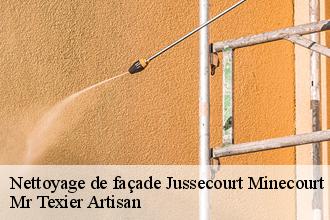 Nettoyage de façade  jussecourt-minecourt-51340 Dufresne David Peinture