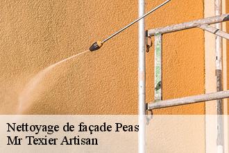 Nettoyage de façade peas-51120 Dufresne David Peinture