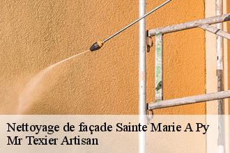 Nettoyage de façade sainte-marie-a-py-51600 Dufresne David Peinture