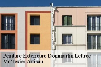 Peinture Extérieure  dommartin-lettree-51320 Dufresne David Peinture