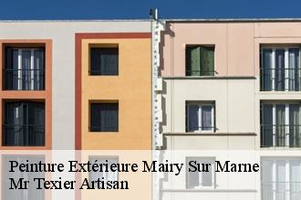 Peinture Extérieure mairy-sur-marne-51240 Dufresne David Peinture