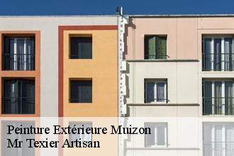 Peinture Extérieure muizon-51140 Mr Texier Artisan
