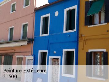 Peinture Extérieure 51500