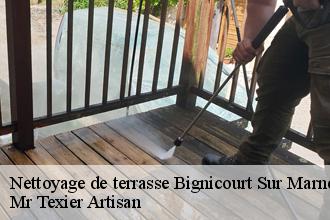 Nettoyage de terrasse  bignicourt-sur-marne-51300 Dufresne David Peinture