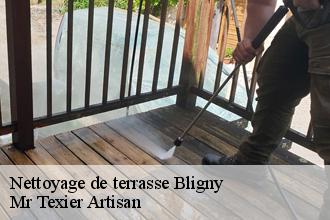 Nettoyage de terrasse bligny-51170 Dufresne David Peinture