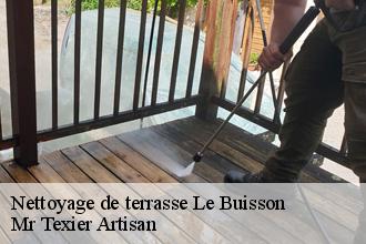 Nettoyage de terrasse  le-buisson-51300 Dufresne David Peinture