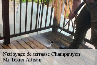 Nettoyage de terrasse champguyon-51310 Dufresne David Peinture