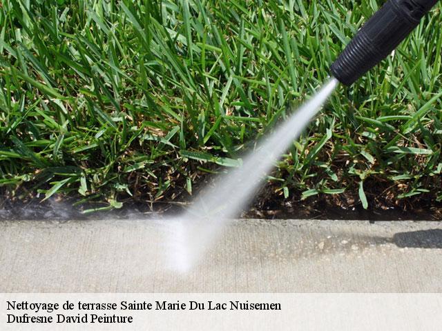 Nettoyage de terrasse  sainte-marie-du-lac-nuisemen-51290 Dufresne David Peinture