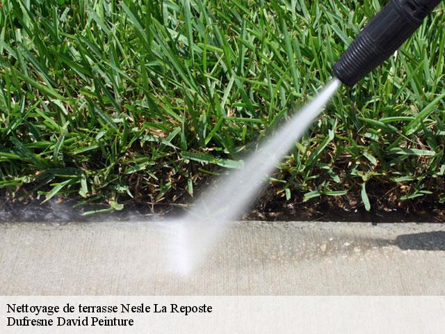 Nettoyage de terrasse  nesle-la-reposte-51120 Dufresne David Peinture