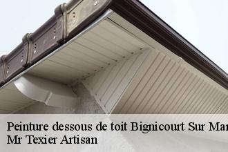 Peinture dessous de toit  bignicourt-sur-marne-51300 Dufresne David Peinture