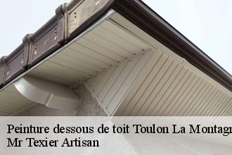Peinture dessous de toit toulon-la-montagne-51130 Dufresne David Peinture