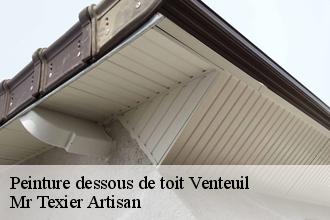 Peinture dessous de toit venteuil-51480 Mr Texier Artisan