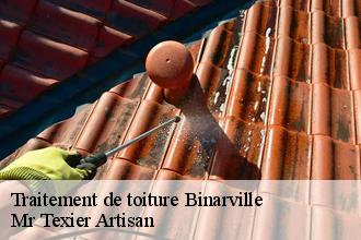 Traitement de toiture  binarville-51800 Dufresne David Peinture