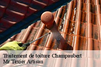 Traitement de toiture  champaubert-51270 Dufresne David Peinture