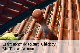 Traitement de toiture chichey-51120 Dufresne David Peinture