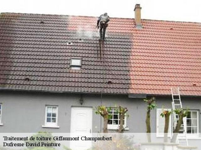 Traitement de toiture  giffaumont-champaubert-51290 Dufresne David Peinture