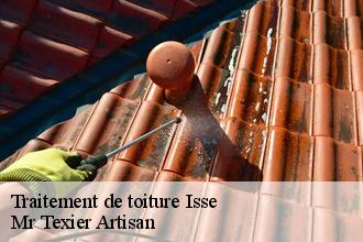 Traitement de toiture isse-51150 Mr Texier Artisan