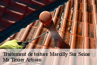 Traitement de toiture marcilly-sur-seine-51260 Dufresne David Peinture