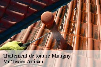 Traitement de toiture mutigny-51160 Dufresne David Peinture