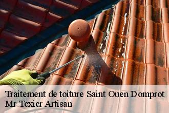 Traitement de toiture saint-ouen-domprot-51320 Dufresne David Peinture